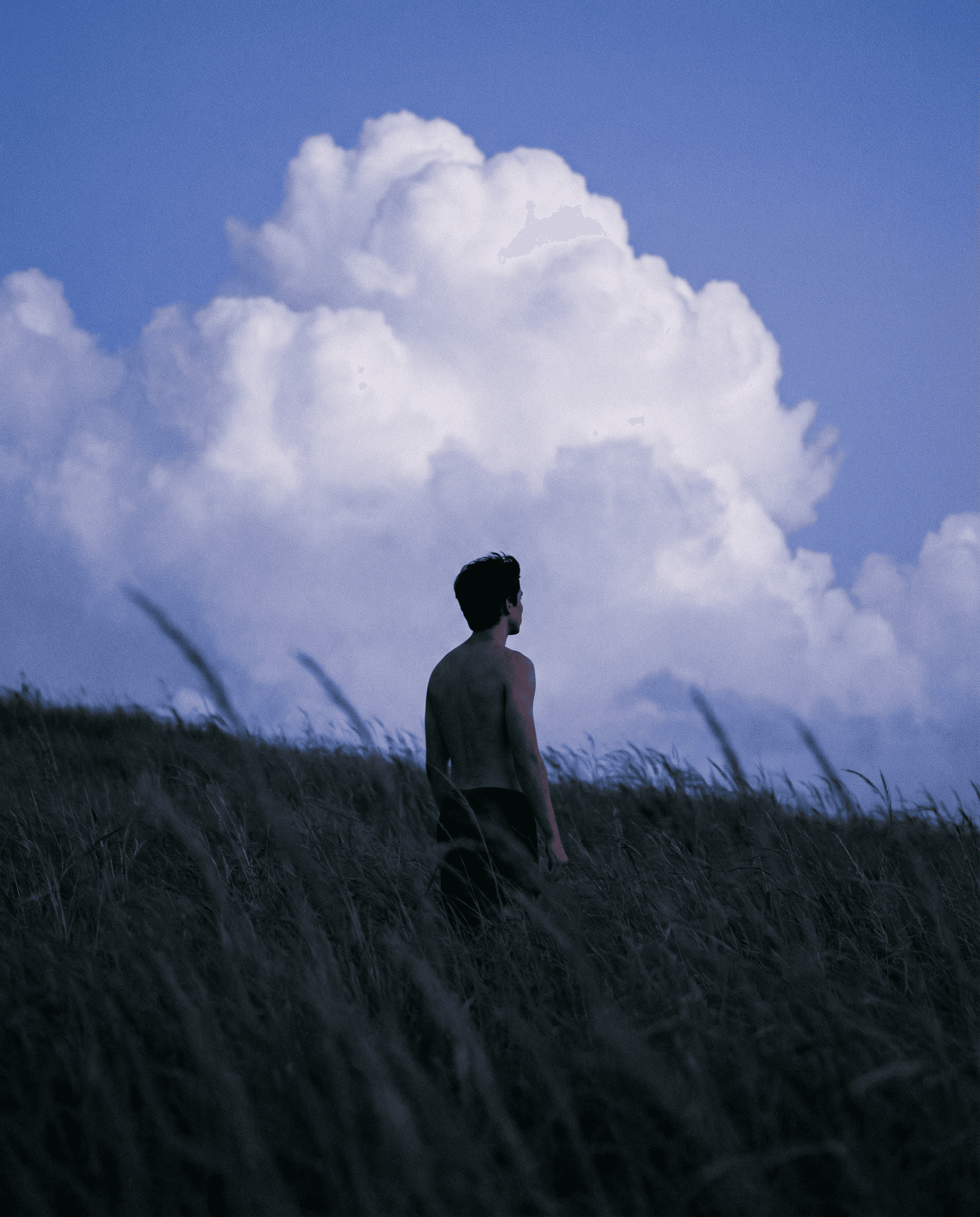 A person stands in a field of tall grass, gazing at a large, fluffy white cloud against a vibrant blue sky, evoking a sense of tranquility and contemplation in the natural landscape.